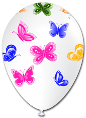 PALLONCINO 12